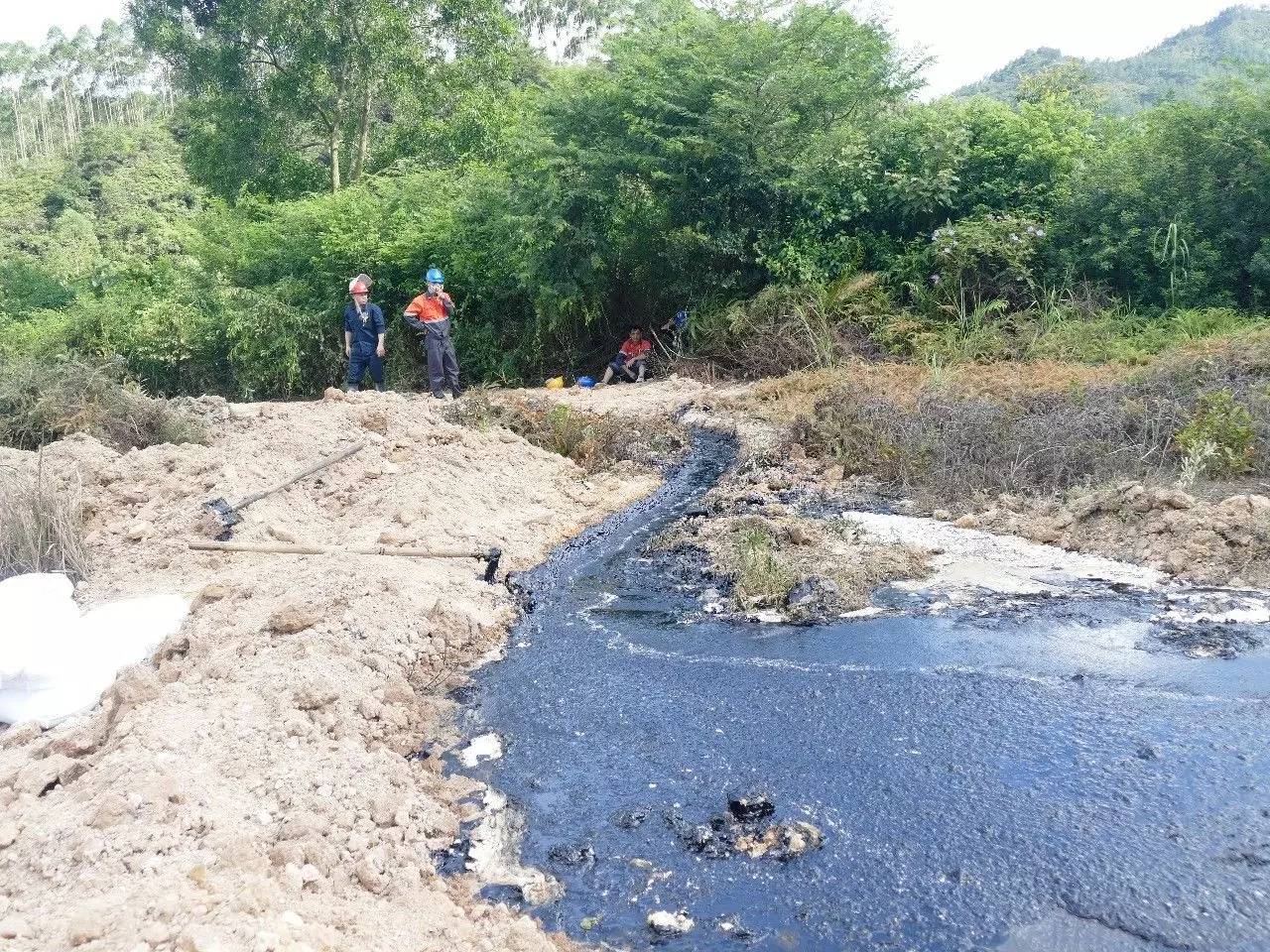 澳门最精准免费资料大全旅游团,迅速响应问题解决_桌面款54.75.77